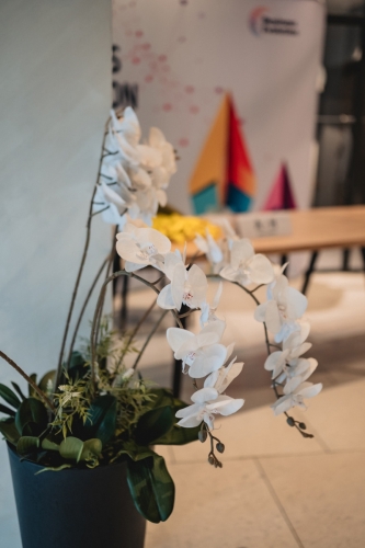 Doing Business 2024 - Satu Mare