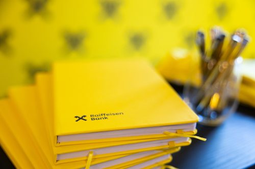 Business Evolution Valcea 2026 8708