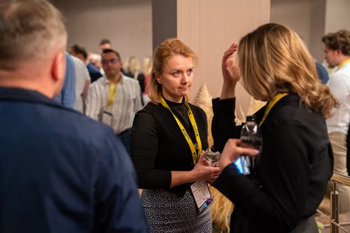 Piatra Neamt 2025 04783